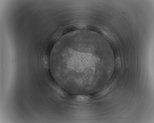 X0000112350234200908271239