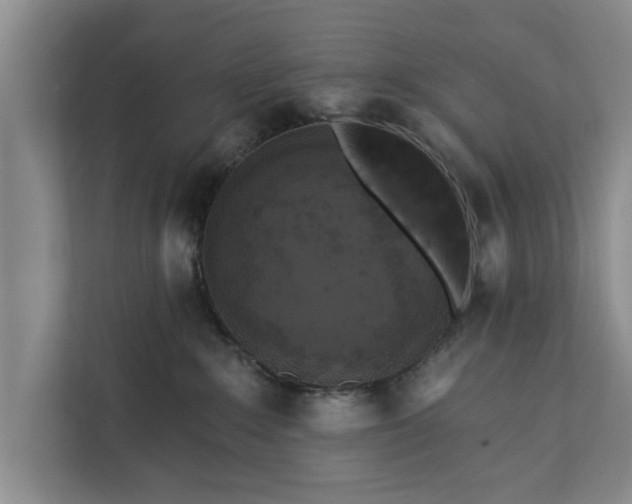 X0000112350235200908271239