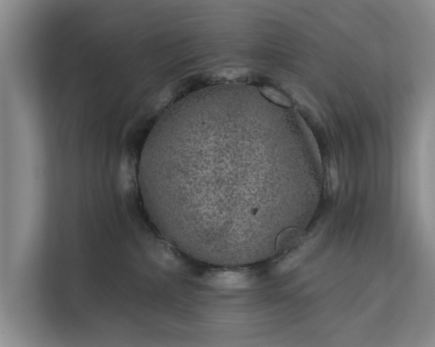 X0000112350236200908271239