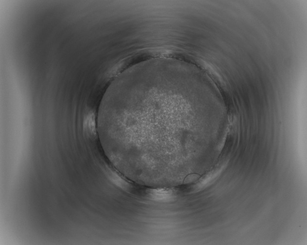 X0000112350238200908271239