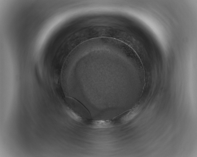 X0000112350239200908271239