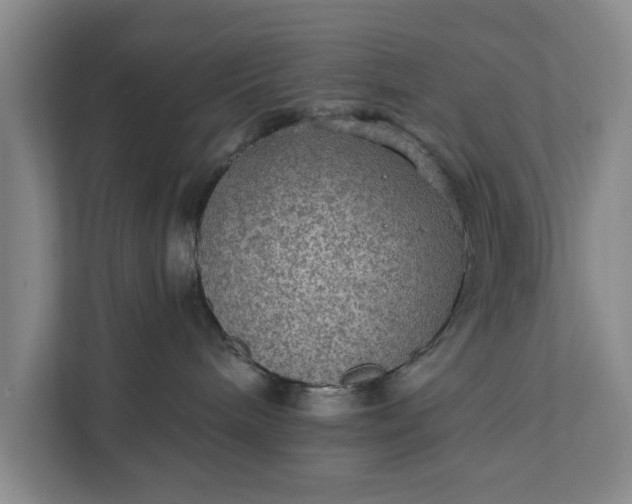 X0000112350240200908271239