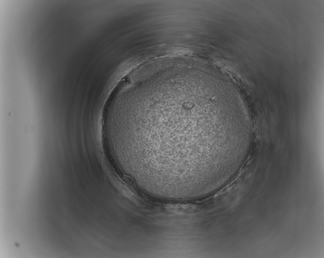 X0000112350242200908271238