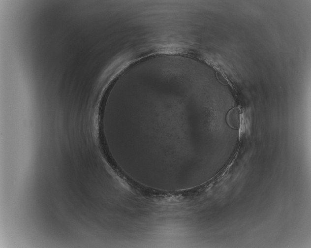 X0000112350243200908271238