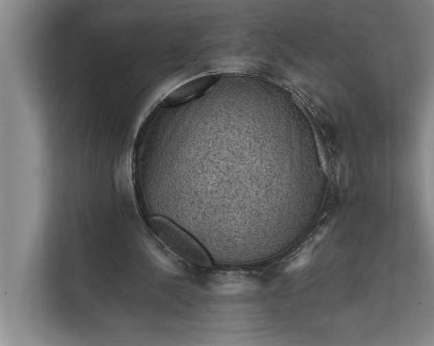 X0000112350244200908271238