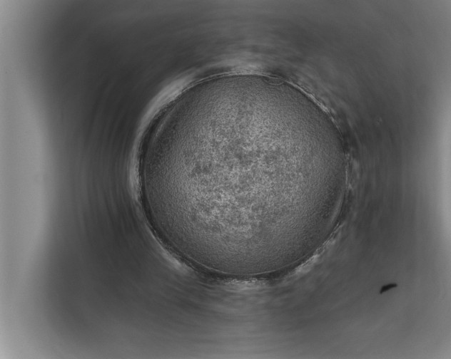 X0000112350245200908271238