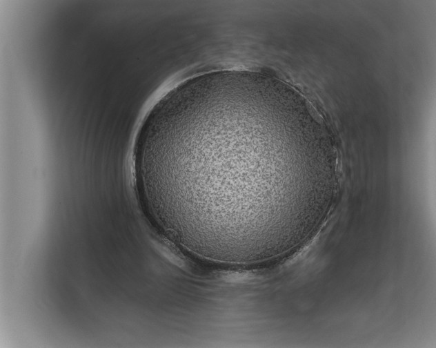 X0000112350246200908271238