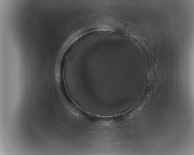 X0000112350247200908271238