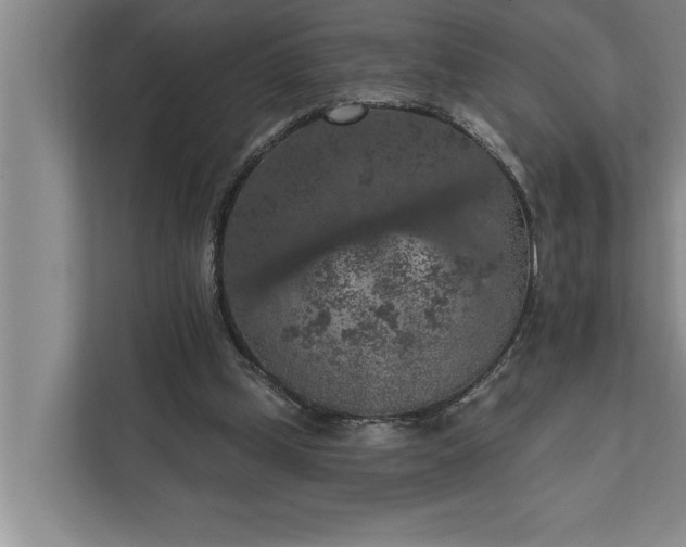 X0000112350249200908271238