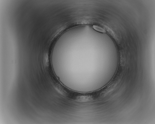 X0000112350251200908271238