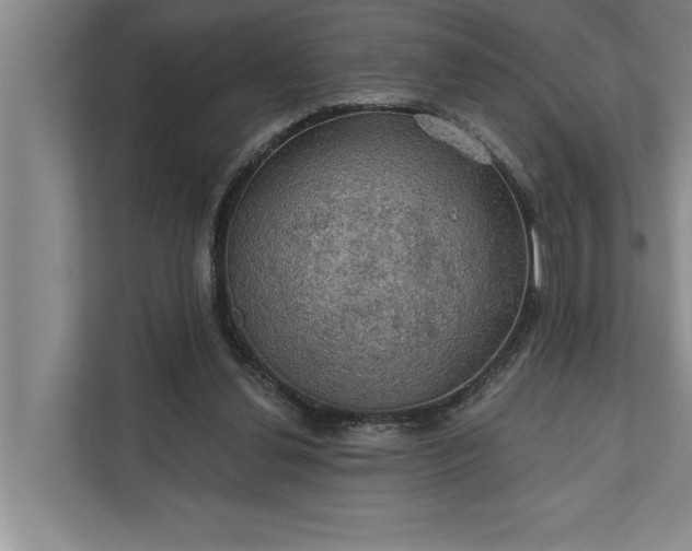 X0000112350252200908271239