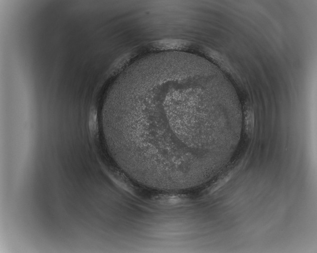 X0000112350254200908271239