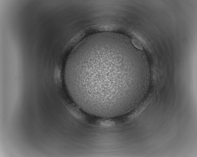 X0000112350258200908271239