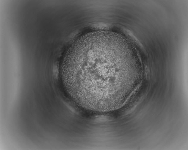 X0000112350259200908271239