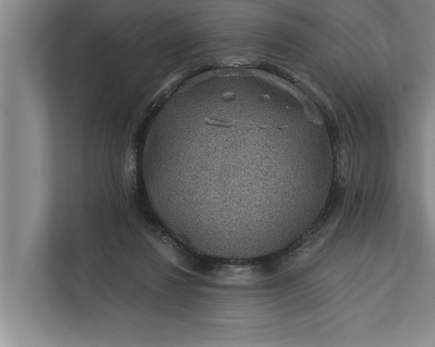 X0000112350260200908271239