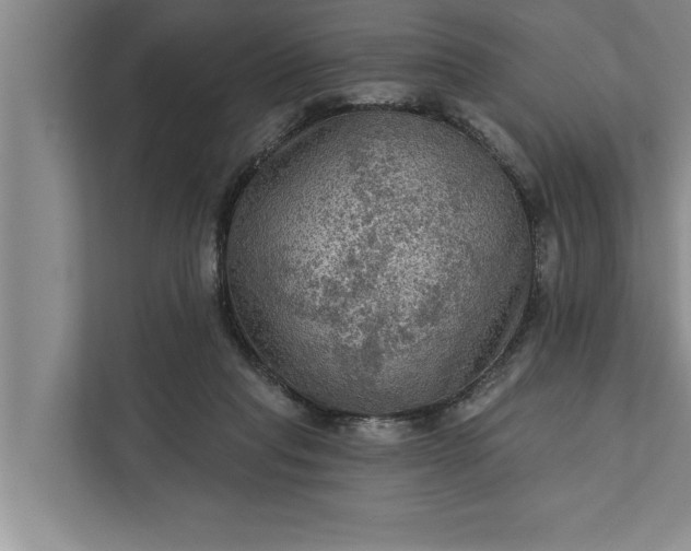 X0000112350261200908271239