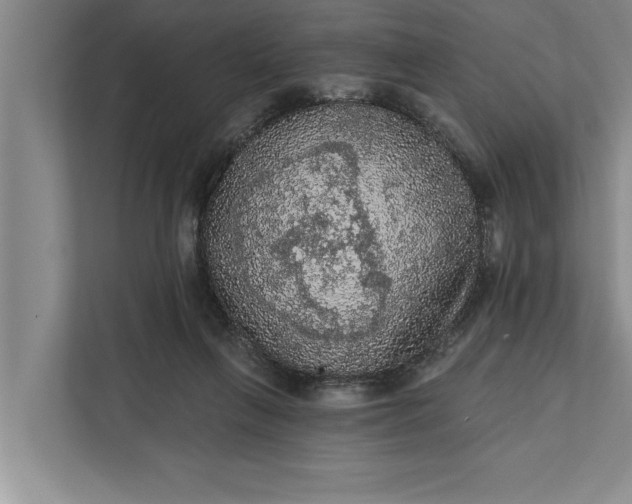 X0000112350263200908271239