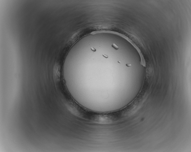 X0000112350264200908271239