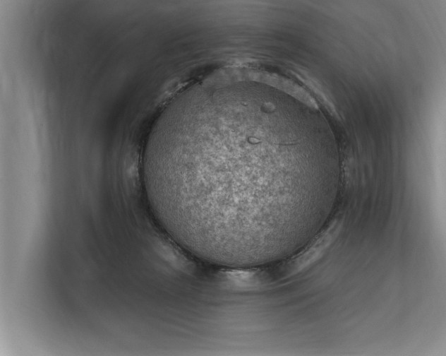 X0000112350265200908271239