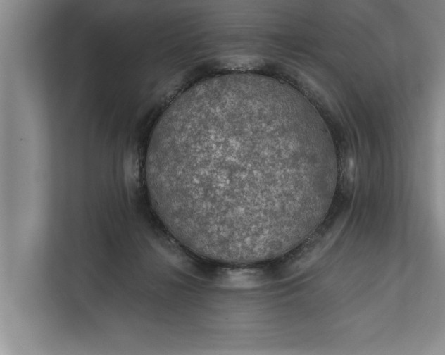 X0000112350268200908271239