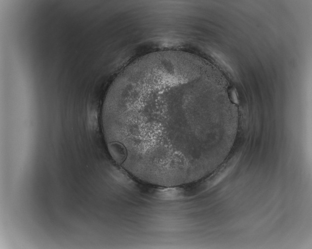 X0000112350269200908271239