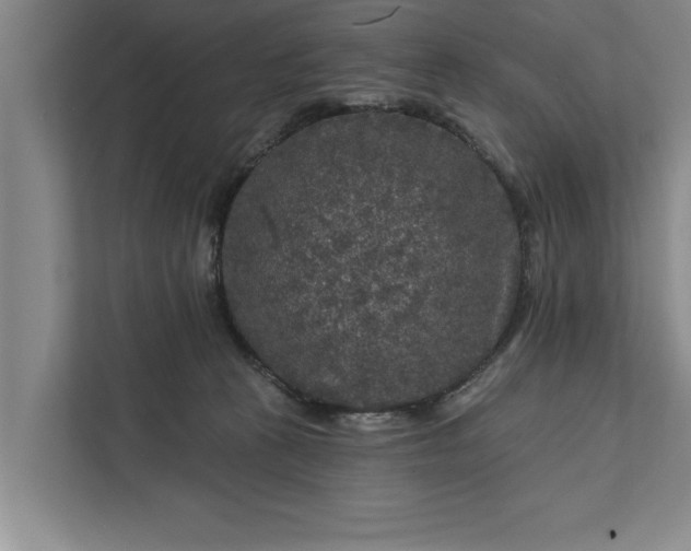 X0000112350273200908271239