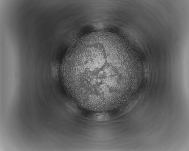 X0000112350275200908271239