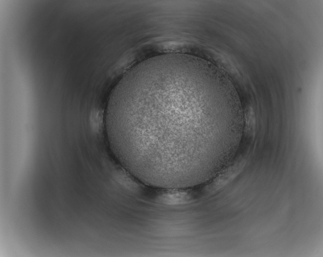 X0000112350278200908271239