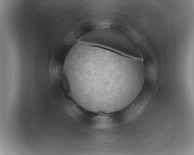 X0000112350280200908271239