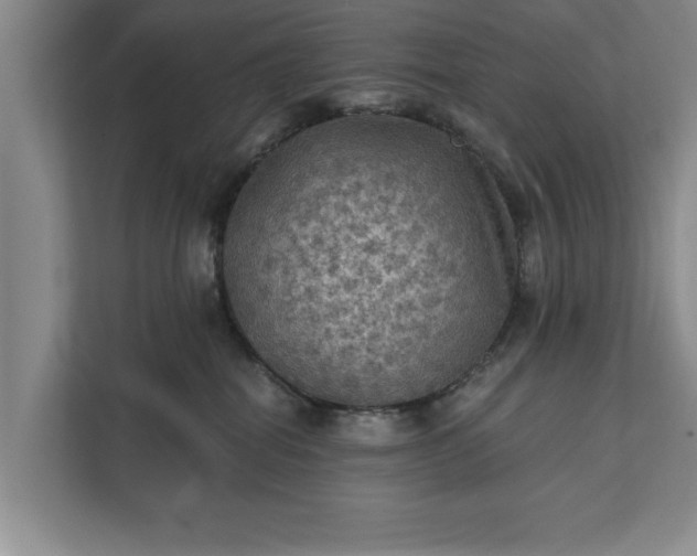 X0000112350282200908271239