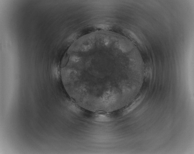 X0000112350285200908271239