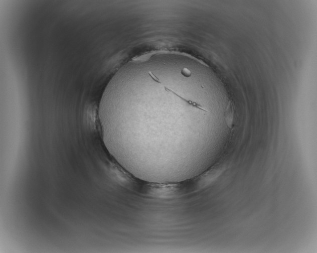 X0000112350288200908271239