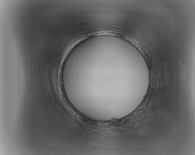 X0000112350289200908271238