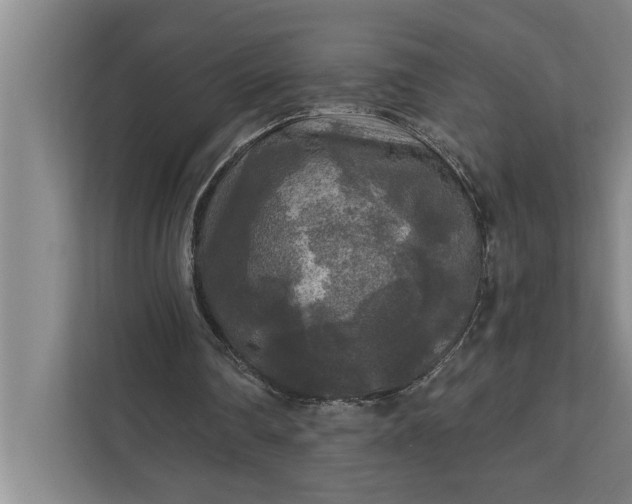 X0000112350290200908271238