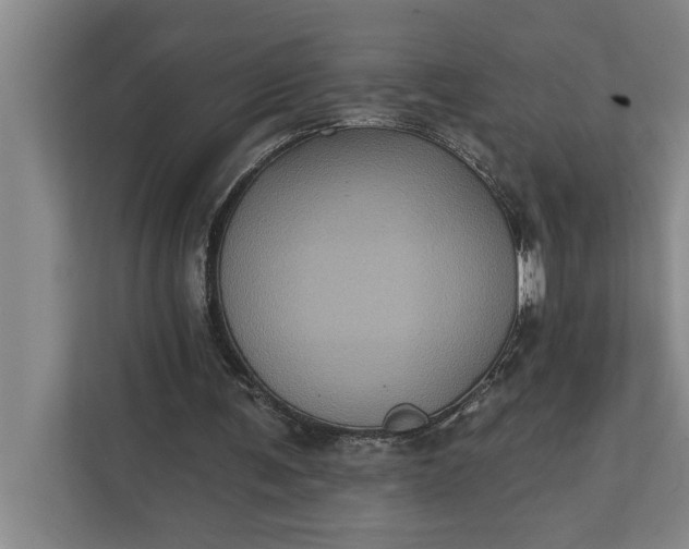 X0000112350291200908271238