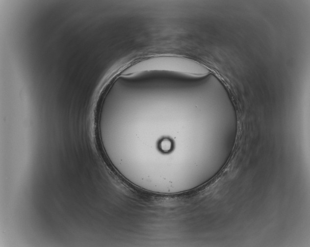 X0000112350293200908271238