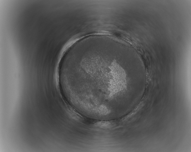 X0000112350294200908271238