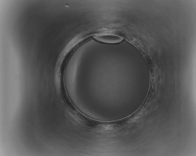 X0000112350295200908271238