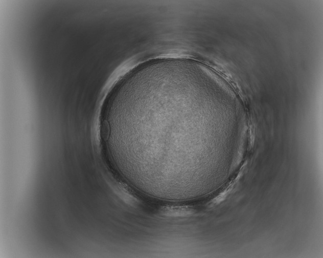 X0000112350296200908271238