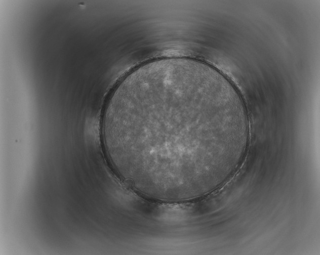 X0000112350297200908271238