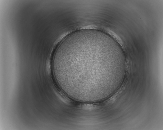 X0000112350298200908271238