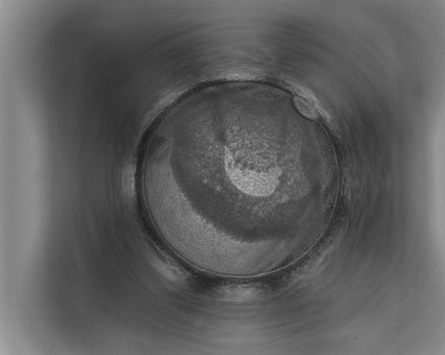 X0000112350299200908271238