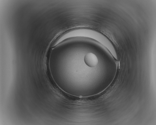 X0000112350300200908271238