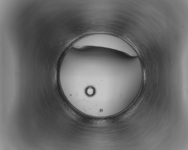 X0000112350301200908271238