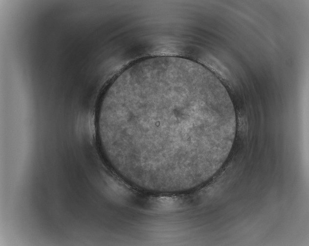 X0000112350302200908271238