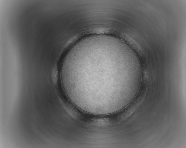 X0000112350304200908271238