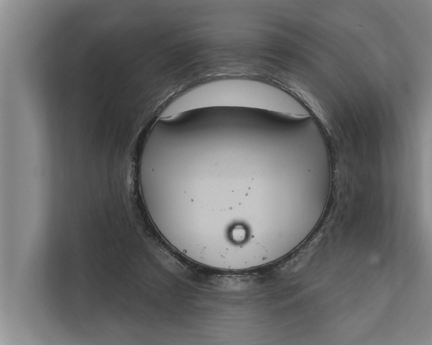 X0000112350305200908271238