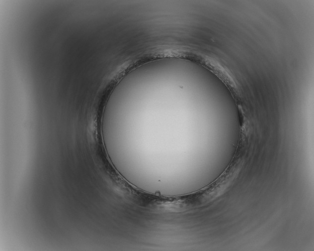 X0000112350306200908271238