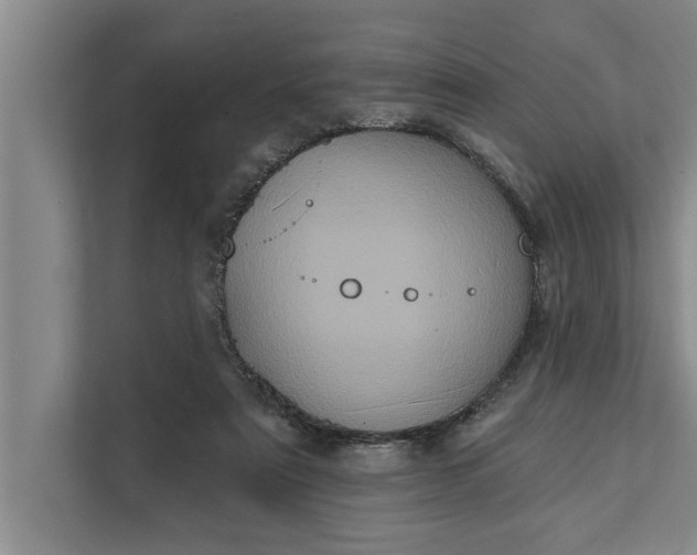 X0000112350307200908271238