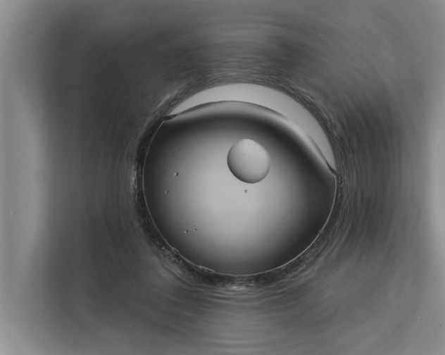 X0000112350308200908271238